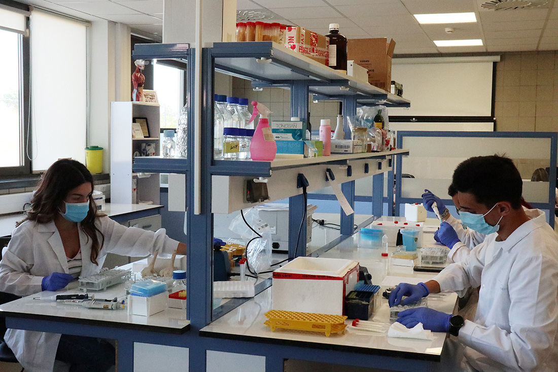 foodoxys - τεστ dna -